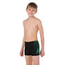 Boxer de bain SPEEDO E10 GALA PAN