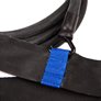 Ceinture BELT TRAINER TWO SIDES LATEX