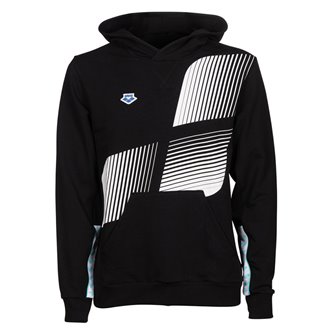 Sweat ARENA ARENA ICONS HOODED SWEAT SOLID LOGO