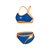 Bleu Moyen