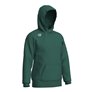 Sweat à capuche unisexe ARENA TEAM HOODED SWEAT PANEL