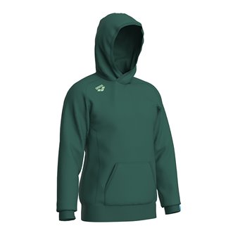 Sweat à capuche unisexe ARENA TEAM HOODED SWEAT PANEL