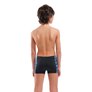 Boxer de bain garçon ARENA BOY'S ARENA CANDIES SWIM SHORT