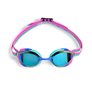 Lunettes de natation ARENA PYTHON MIRROR